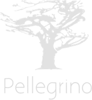Pellegrino